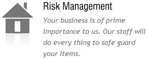 risk management